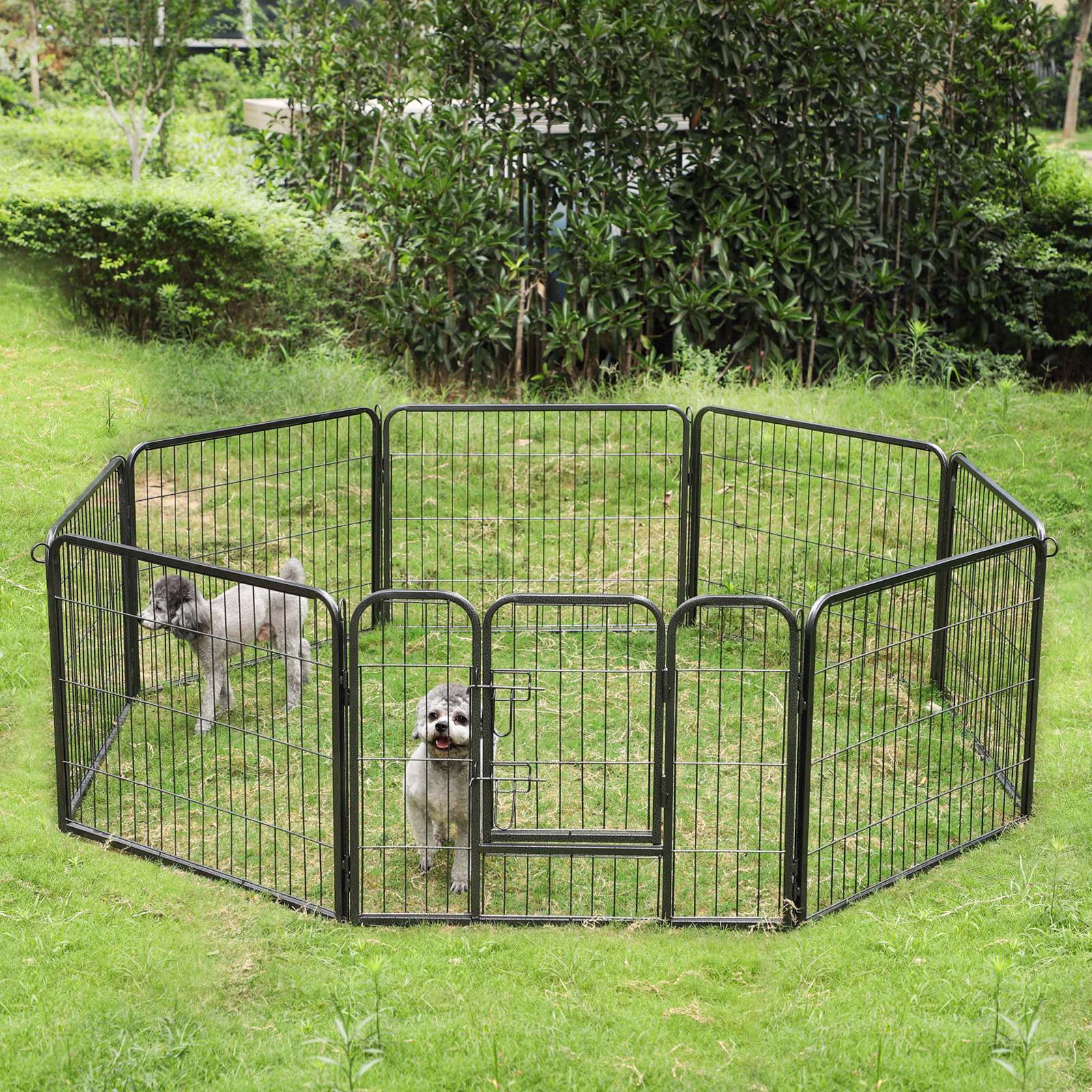 Puppybox - 8 -corner dog box - Foldable