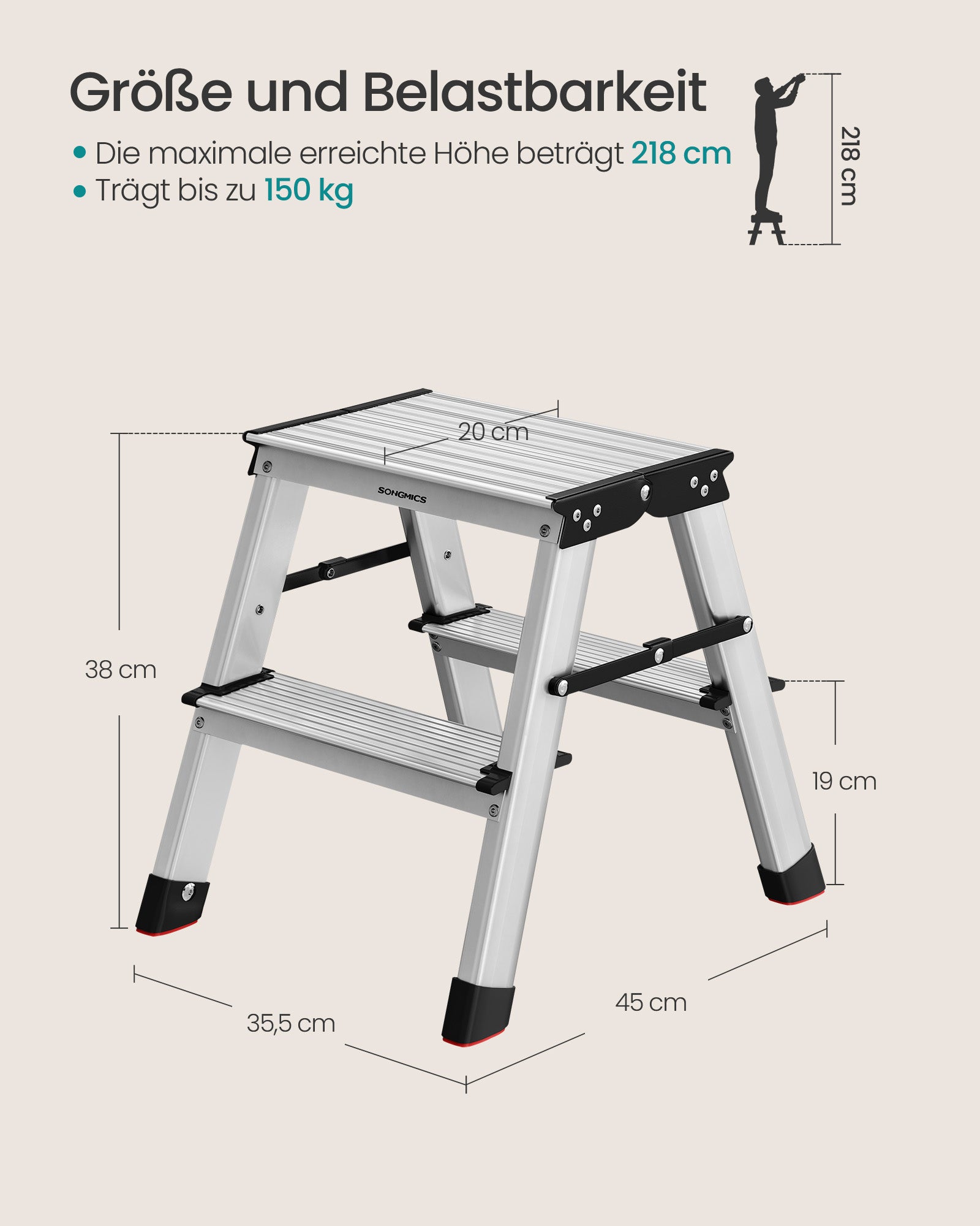 Ladder-with 2 non-slip steps-silver-gray-ink black