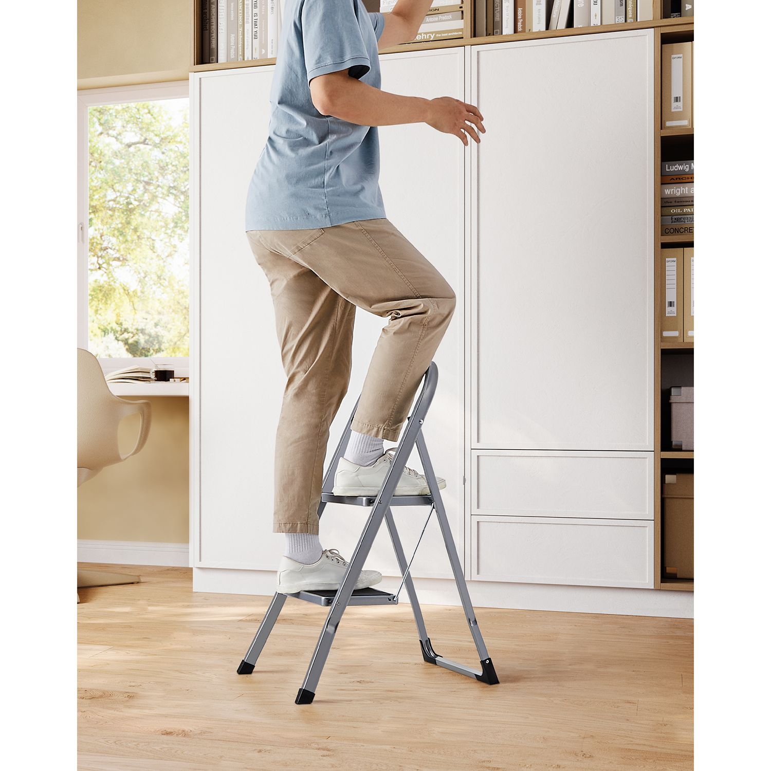 Ladder - With 2 steps
