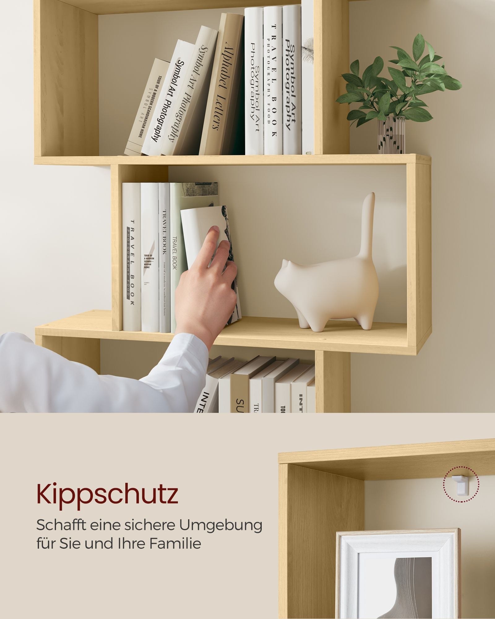 Bookcase with 6 layers to exhibit