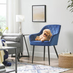 Dining room chair - Updated with velvet - with armrests and metal legs - Blue