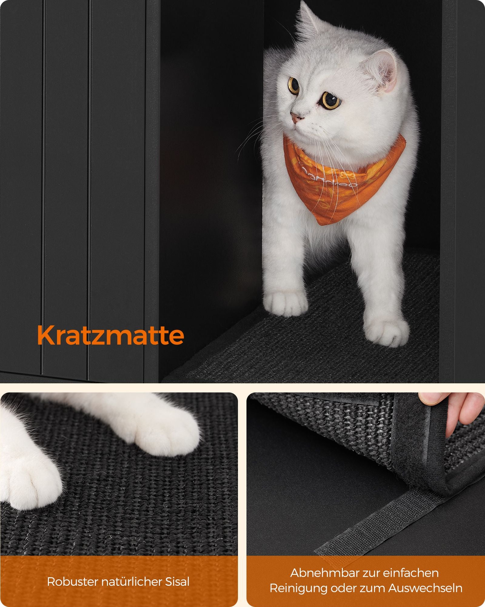 Cat bakery with crab mat and golden legs