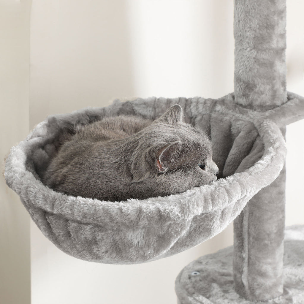 Scratching post - from floor to ceiling - light gray