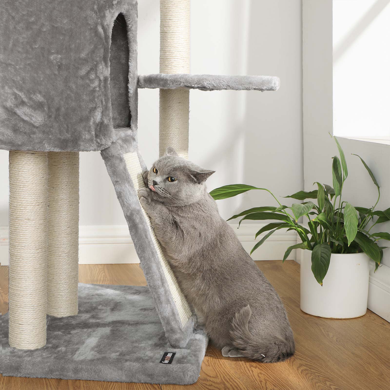 Scratching post - from floor to ceiling - light gray