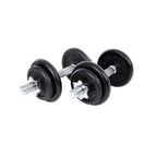 Halters - cast iron dumbbells - Set of 2 - Total 40 kg