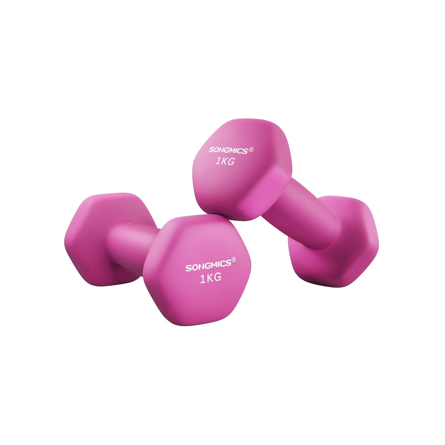 Halters - 2 weights of 1 kg - Halter set - Pink