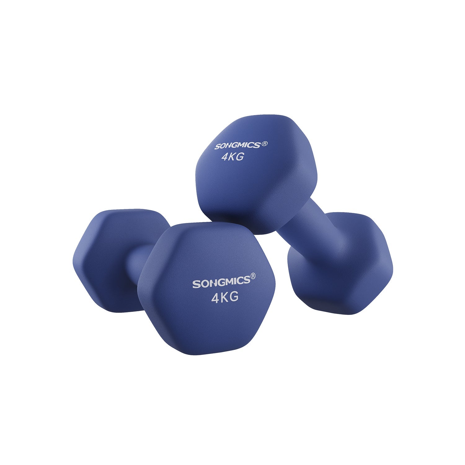 Halters - 2 weights of 4 kg - Halter set - Blue
