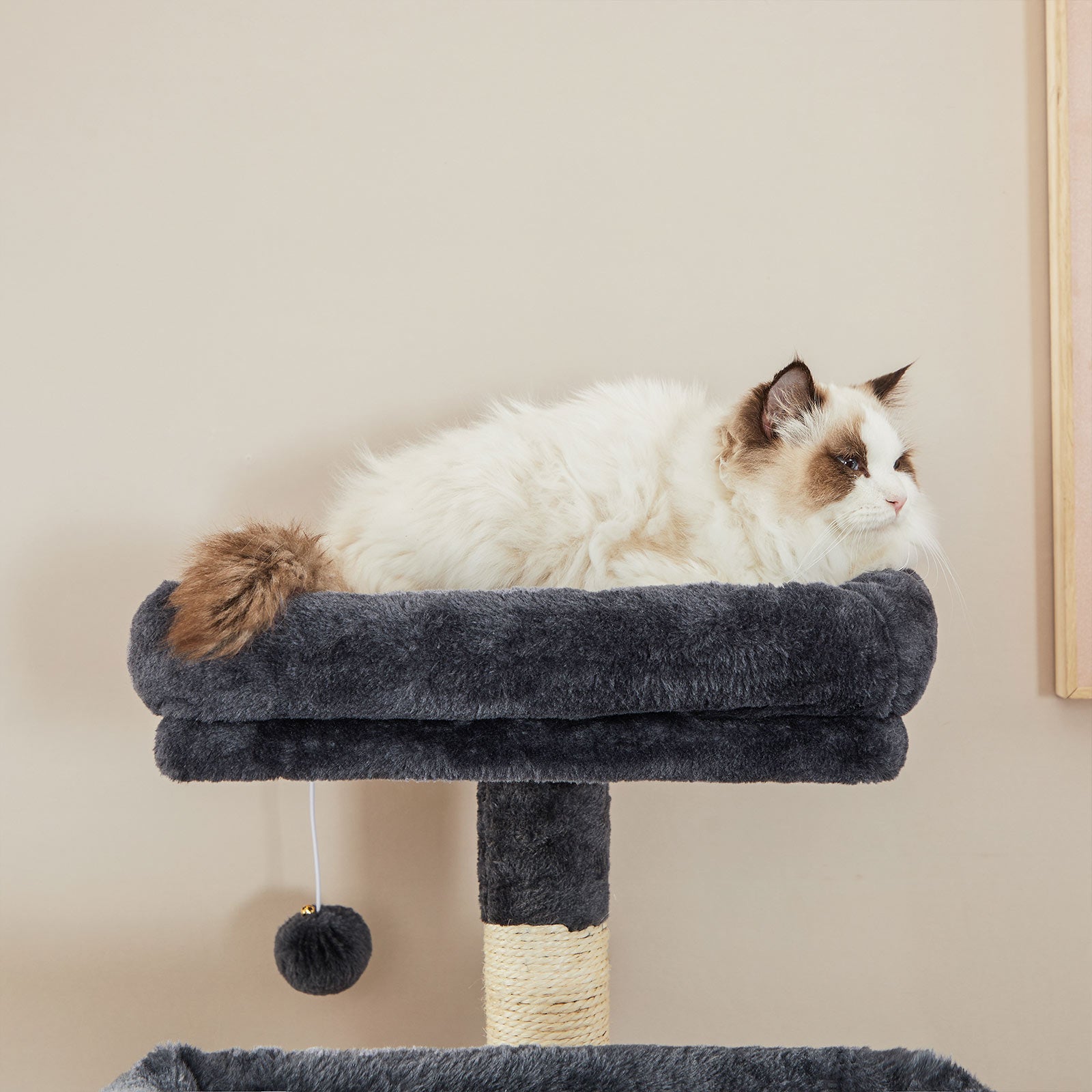 Scratching post - smoky gray