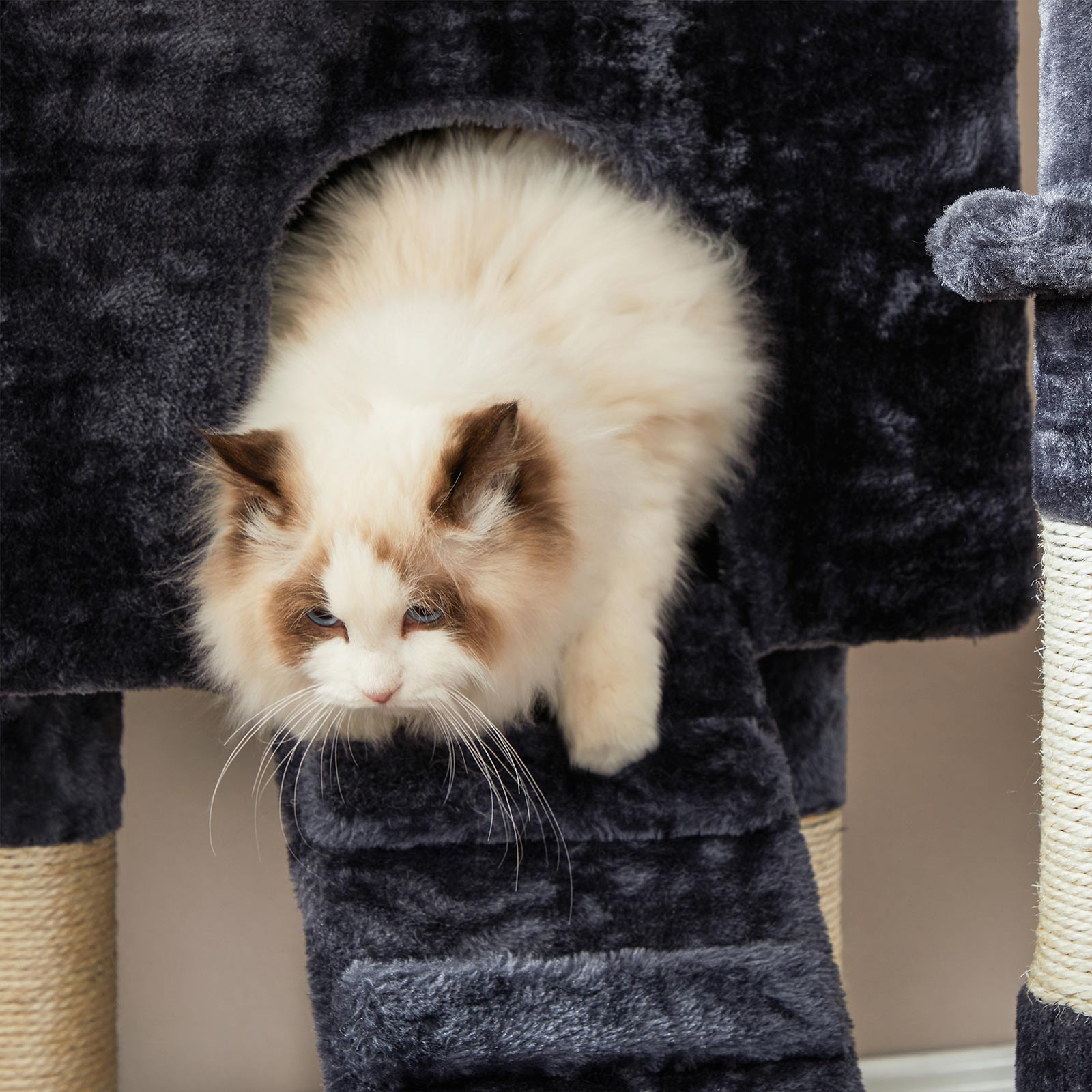 Scratching post - smoky gray